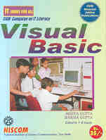 Visual Basic