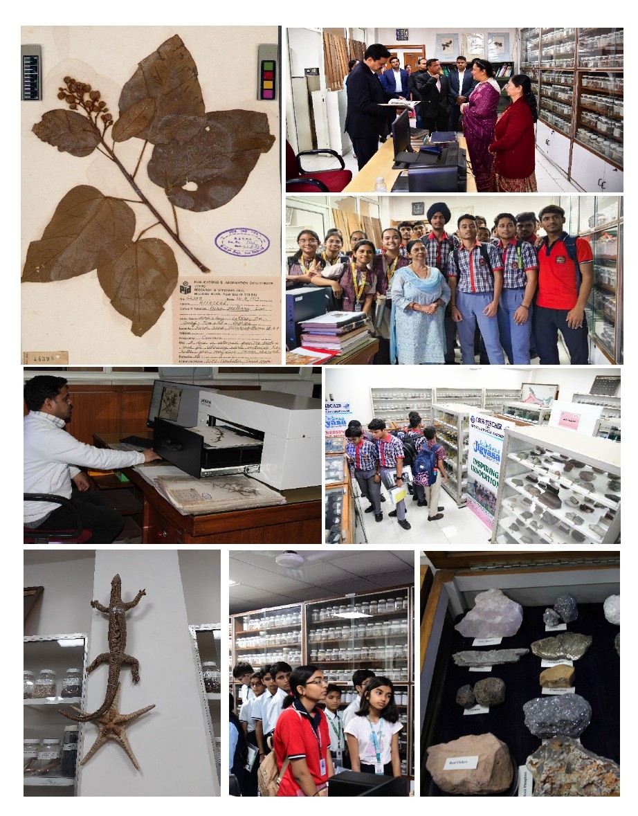 Workshop on Herbarium Techniques