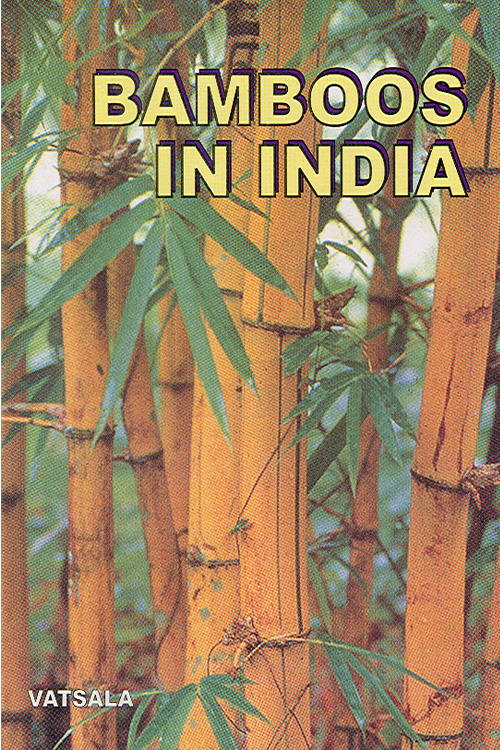 Bamboos in India
